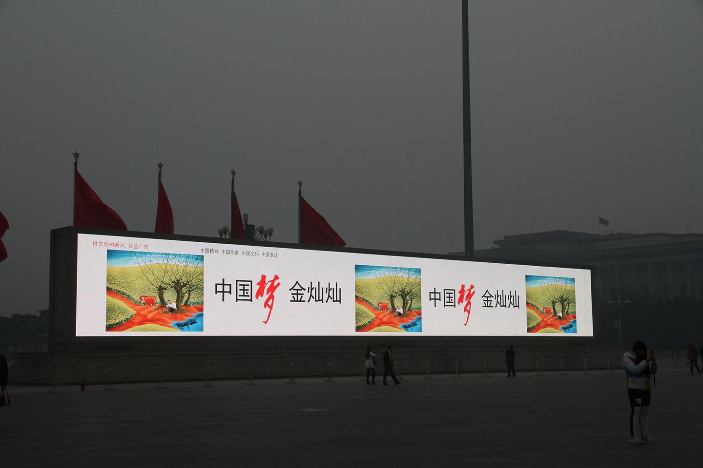 9LM3F9SL00AN0001.jpg