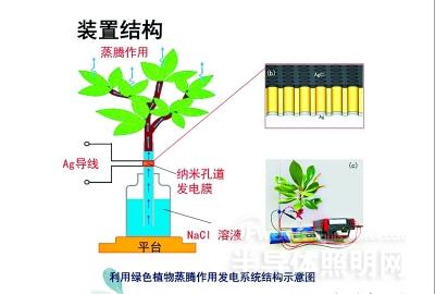 2014081919.jpg