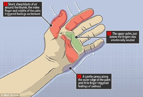 一周新闻播报 9D.jpg