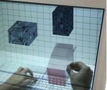 透明显示屏在商务领域率先发展 1.jpg