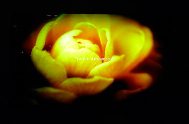 23316650141339.jpg 23316650141339.jpg