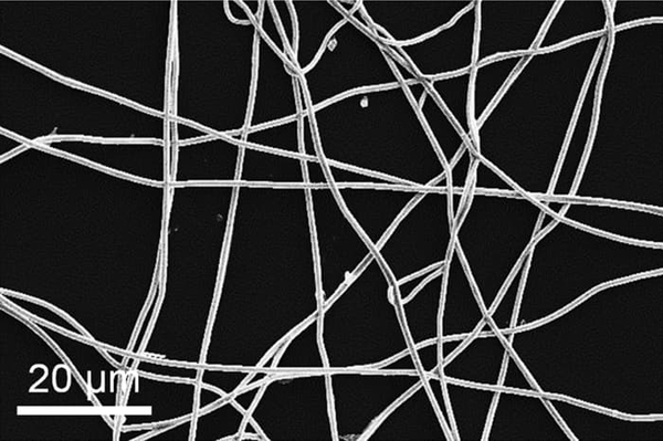 transparent-thin-film-1.jpg transparent-thin-film-1.jpg