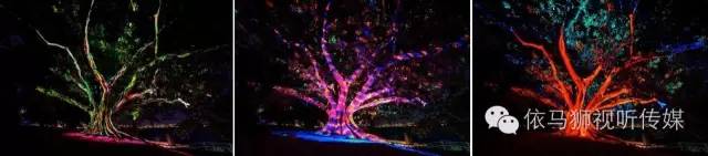 看2016悉尼灯光音乐节的大型户外投影秀 6.jpeg