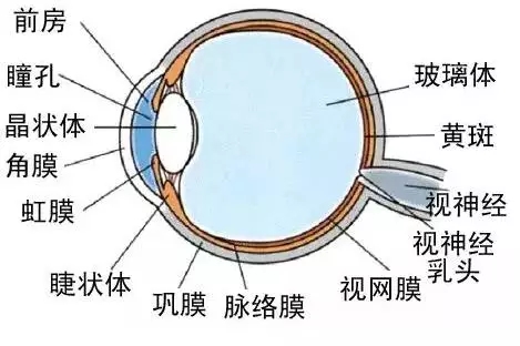 LED景观照明工程设计中的光环境与光文化剖析 1.webp.jpg