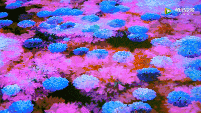 最“神”外国老头，居然在上海造了一个有魔法的花园 3.gif