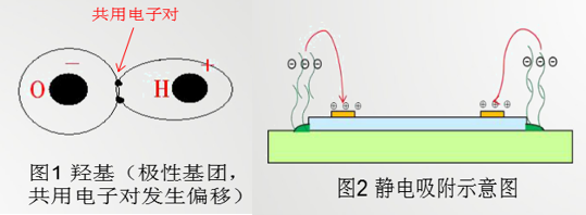 火狐截图_2017-11-15T01-13-56.327Z.jpg