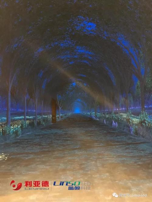 蓝硕科技打造的数字化互动“时光隧道”点亮世界银杏博物馆 3.jpg