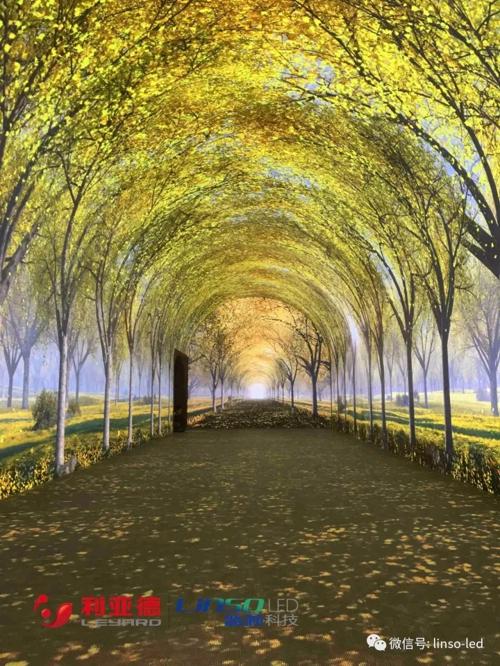 蓝硕科技打造的数字化互动“时光隧道”点亮世界银杏博物馆 4.jpg