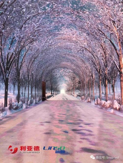 蓝硕科技打造的数字化互动“时光隧道”点亮世界银杏博物馆 5.jpg