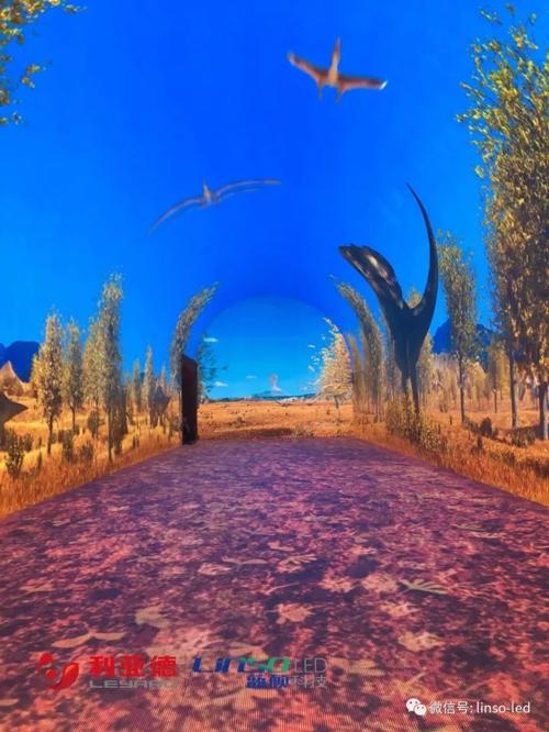 蓝硕科技打造的数字化互动“时光隧道”点亮世界银杏博物馆 7.jpg