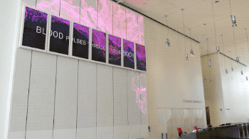 下载.gif