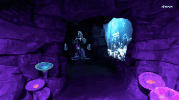 带你走进一个迷人的海洋世界 1.gif