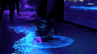 带你走进一个迷人的海洋世界 3.gif