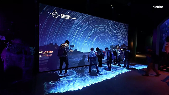 带你走进一个迷人的海洋世界 4.webp.jpg