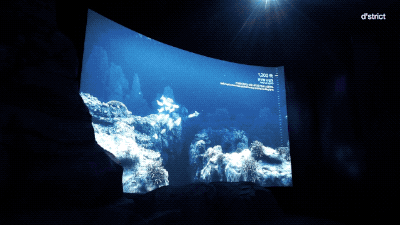 带你走进一个迷人的海洋世界 12.gif