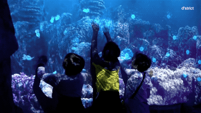 带你走进一个迷人的海洋世界 13.gif