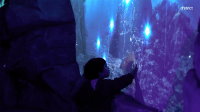 带你走进一个迷人的海洋世界 15.gif