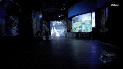 带你走进一个迷人的海洋世界 16.gif