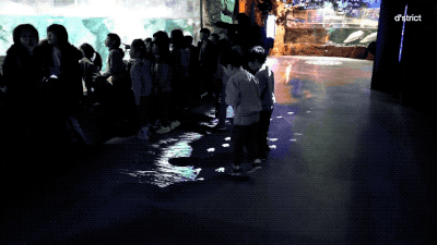 带你走进一个迷人的海洋世界 17.gif