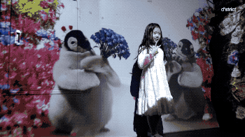 带你走进一个迷人的海洋世界 18.gif