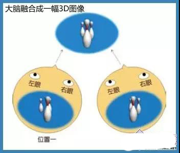 前所未有的“真实”的视觉体验 走近3D显示技术 3.jpg