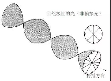前所未有的“真实”的视觉体验 走近3D显示技术 8.jpg