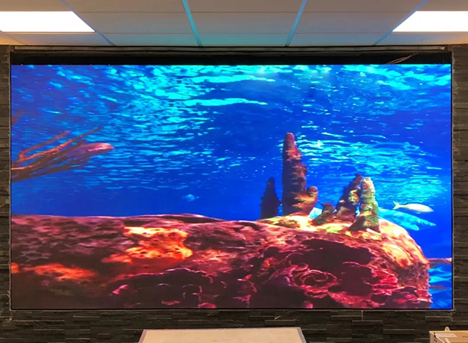 雷曼COB飘洋过海 落户伦敦 2.webp.jpg