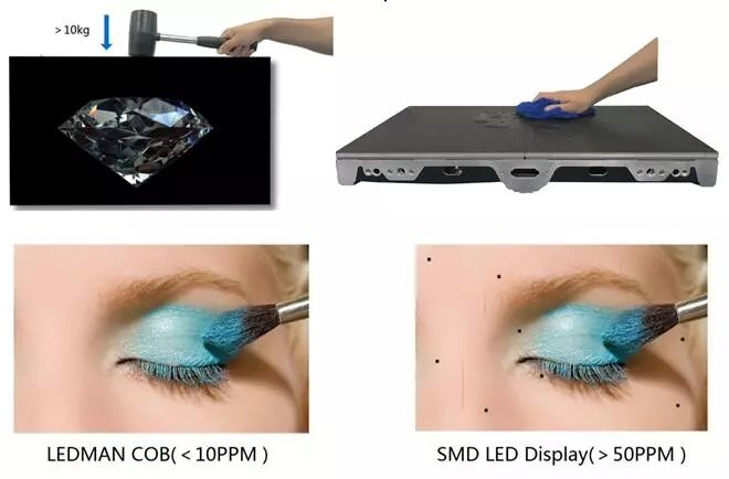 雷曼COB飘洋过海 落户伦敦 3.webp.jpg