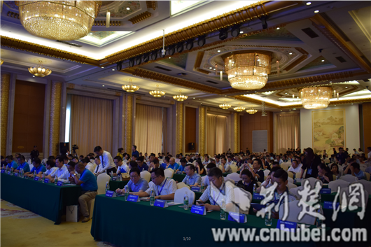 规范行业竞争秩序 湖北省光电显示行业协会将推出行业黑名单.png