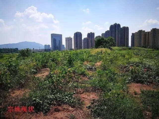 雷士创始人吴长江关联资产将遭拍卖 1.webp.jpg
