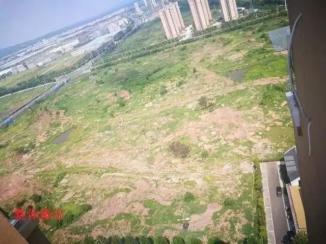 雷士创始人吴长江关联资产将遭拍卖 2.webp.jpg