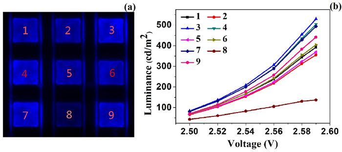 基于显微成像系统的micro-LED表面亮度检测 2.png