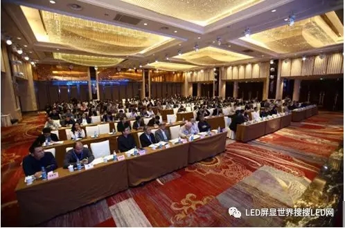 第十六届全国LED产业发展与技术暨显示应用技术交流及产业发展研讨会开幕 2.webp.jpg