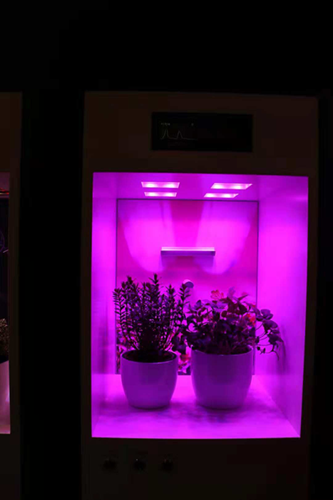 重新划定业务架构，欧司朗将侧重数字化与未来市场 3.png