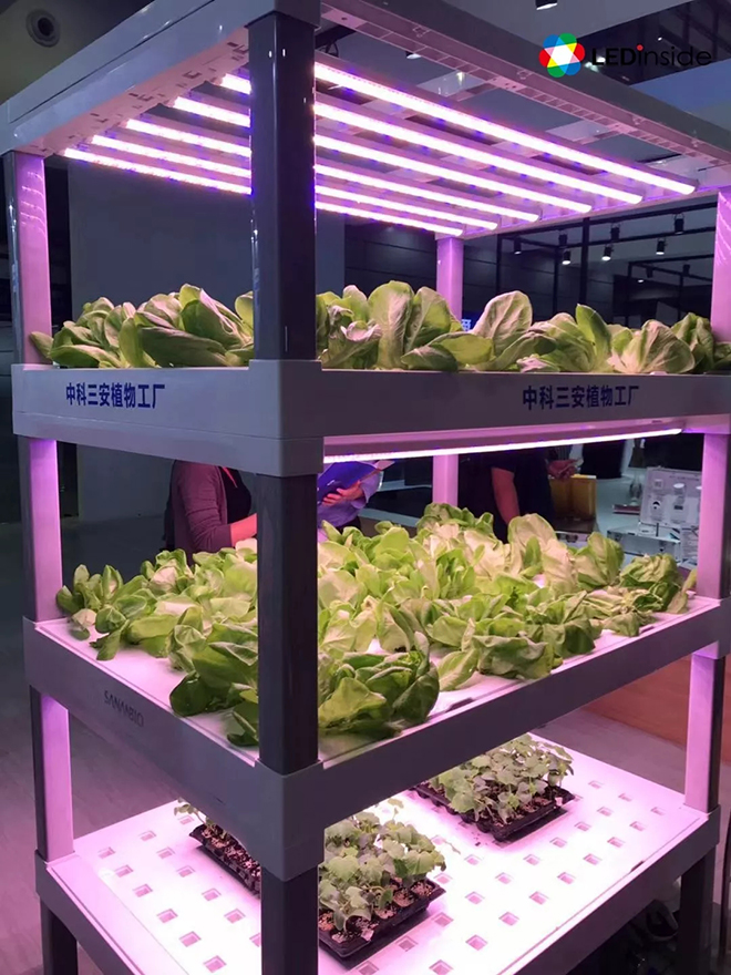 除了Mini LED还有这些亮点 20.webp.jpg