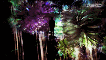16.gif