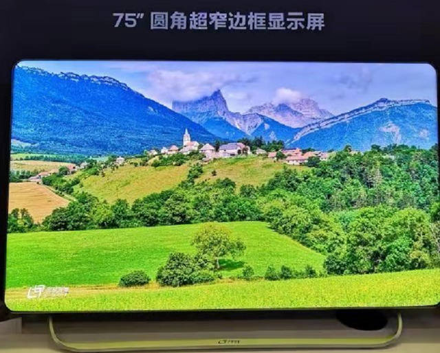 国星RGB事业部Mini LED背光助力华星光电斩获高交会*秀产品奖 2.jpg