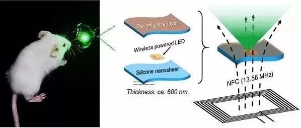 震惊！这些LED应用*然能辅助治疗和监测健康 5.webp.jpg
