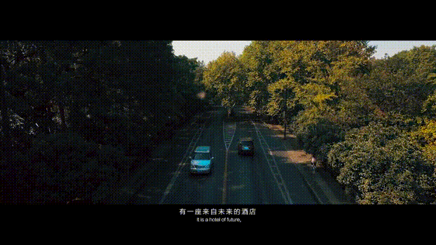 11.gif