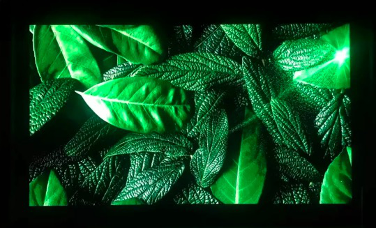 ISLE广州展抢先看：木林森推出创新性封装产品解决方案 4.png