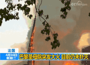 重温巴黎圣母院灯光秀 1.gif