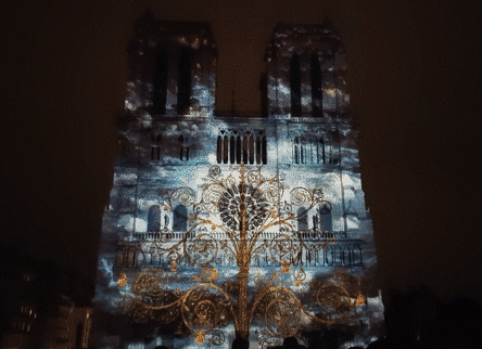 重温巴黎圣母院灯光秀 16.gif