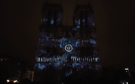 重温巴黎圣母院灯光秀 20.gif