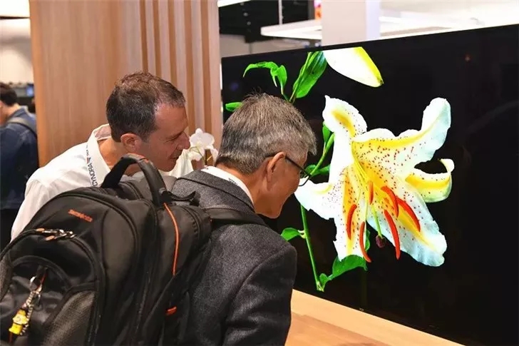 京东方展出Micro-OLED屏：0.39英寸，全球*高5644 PPI 4.webp.jpg