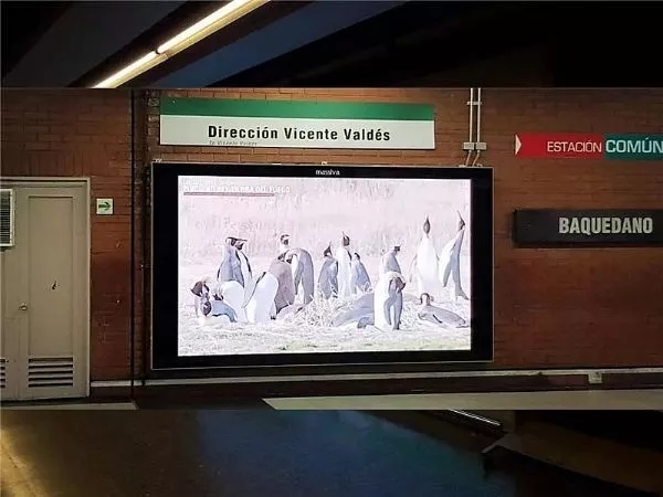 这些LED屏就一个字 3.webp.jpg