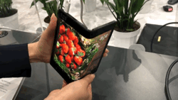 4.gif