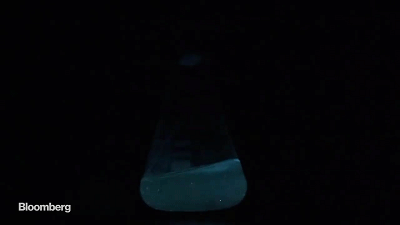 13.gif