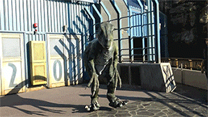 25.gif
