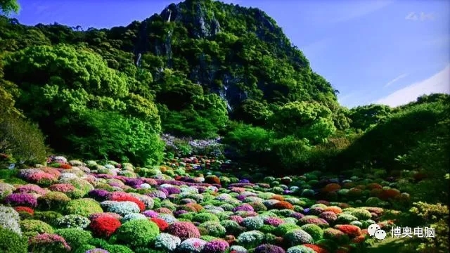 华为智慧屏首发评测！这才是未来大屏该有的样子 12.webp.jpg
