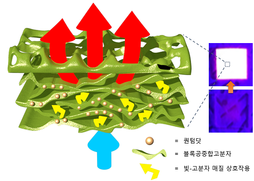 韩KAIST研发新发光材料，助力降低Micro LED成本.png
